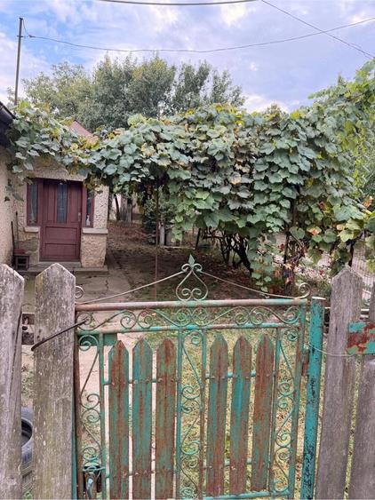 Teren de 300 mp, în Central