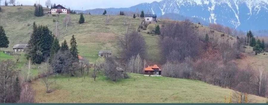 Teren de 1000 mp, în Drumul Carului