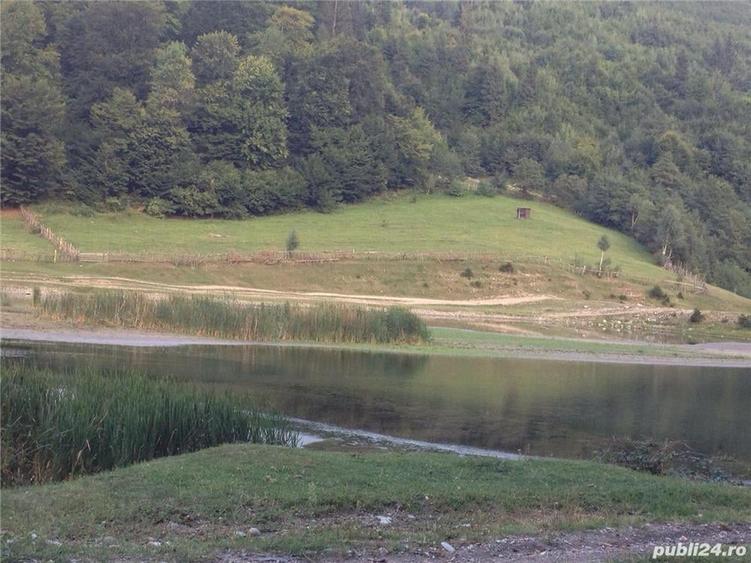 Teren de 6000 mp, în Central