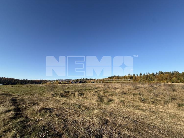 Teren agricol intravilan de 2900 mp, în Horodnic de Sus