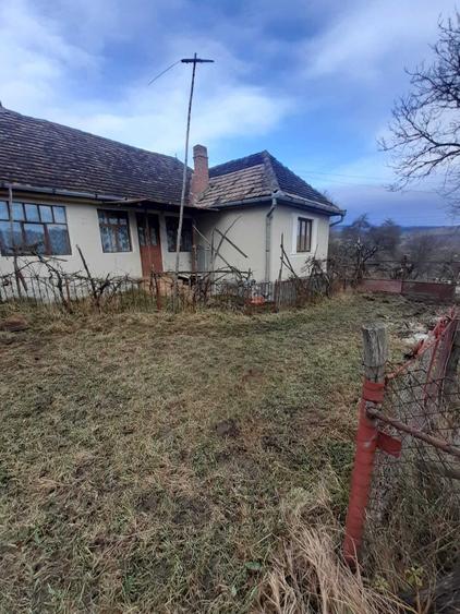 Casă cu 4 camere în Exterior Vest