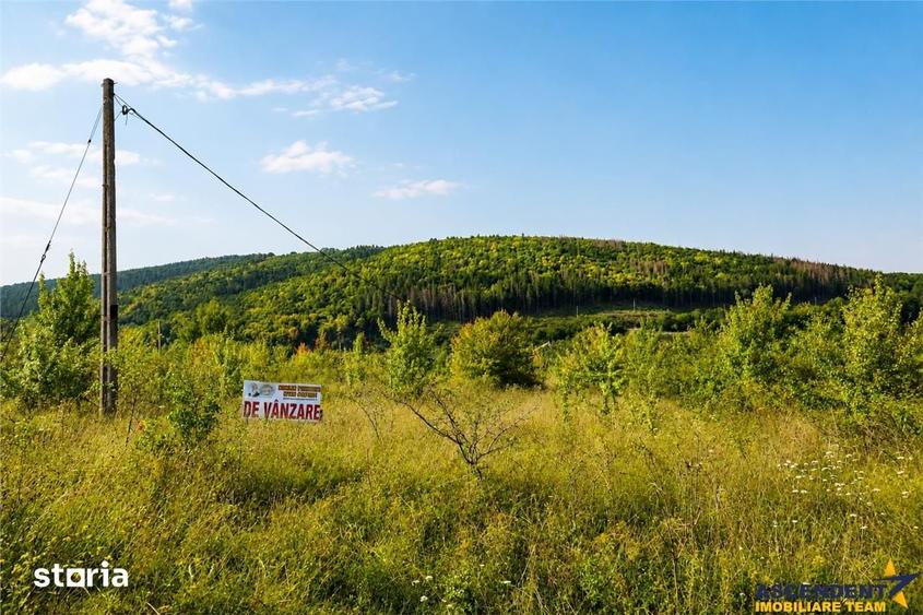 Teren de 450 mp, în Valea Crișului