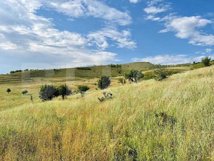 Teren Construcții intravilan de 2873 mp, în Apahida