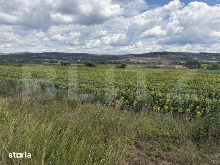 Teren de 11500 mp, în Bobota