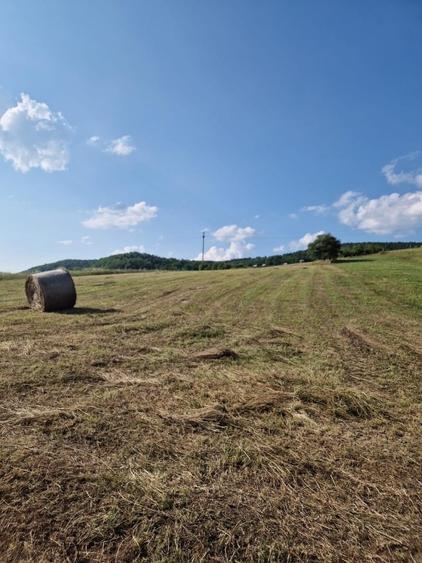 Teren Construcții intravilan de 5800 mp, în Aghireșu-Fabrici
