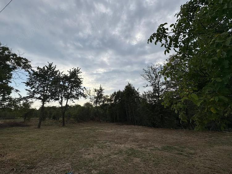 Teren de 700 mp, în Morărești