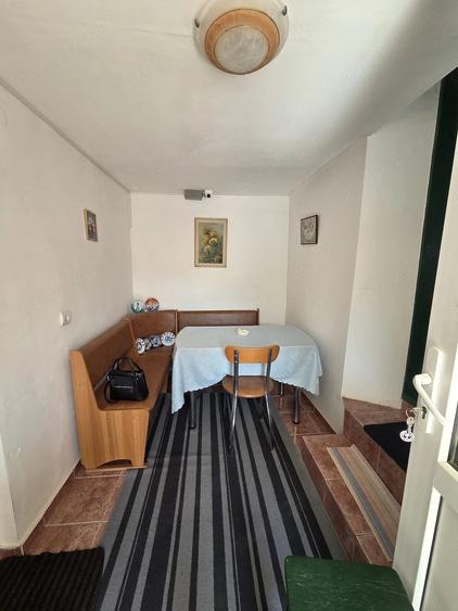 Casă cu Teren 1600 Mp în Viișoara