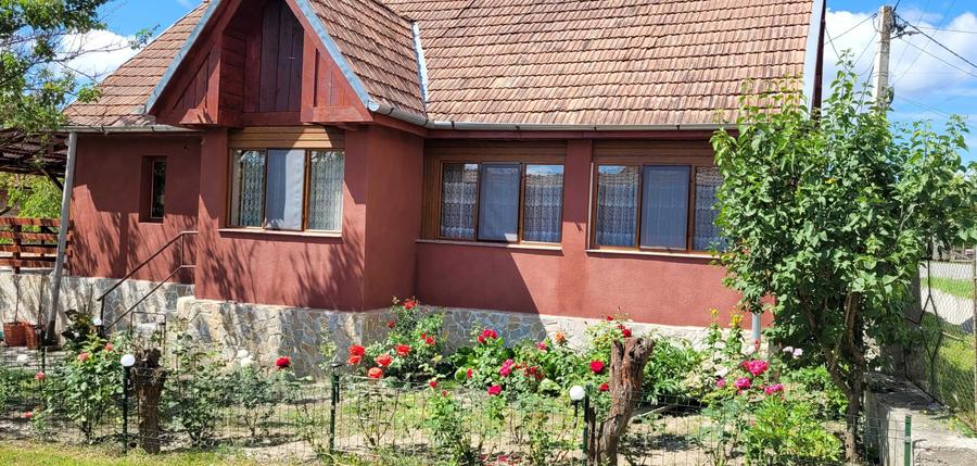Casă cu 2 camere cu Teren 2700 Mp în Măhăceni