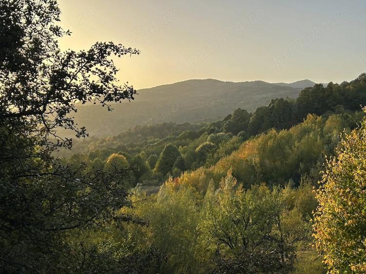 Teren de 5000 mp, în Schiulești