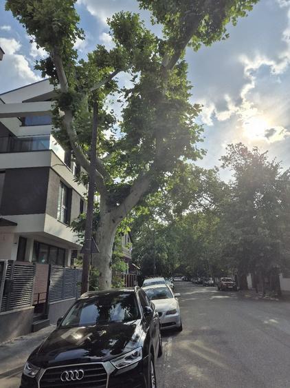 Casă cu 2 camere cu Teren 140 Mp în Parcul Carol