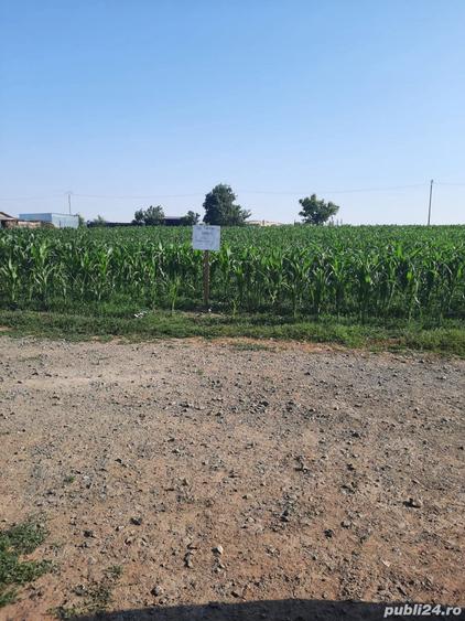 Teren de 3000 mp, în Frecăței