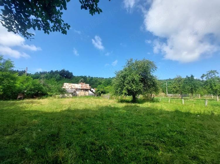Teren de 1700 mp, în Vlădești