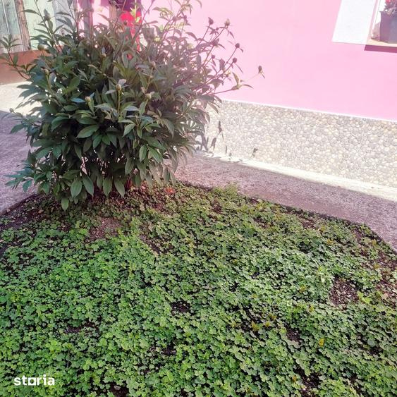 Casă cu 1 camere cu Teren 80 Mp în Lazaret