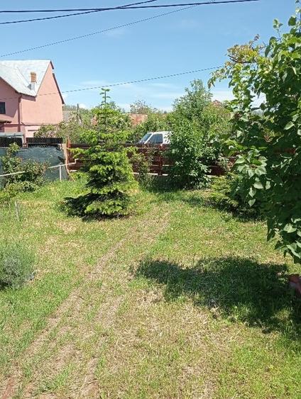 Casă individuală cu 5 camere cu Canalizare în Dragodana