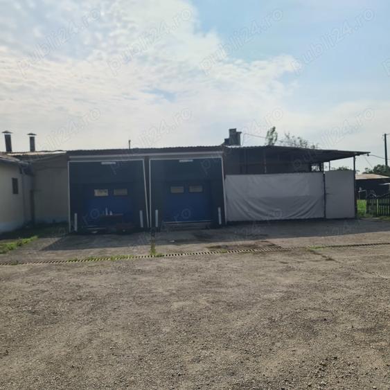 Spațiu comercial, de 6,400 mp, în Carani