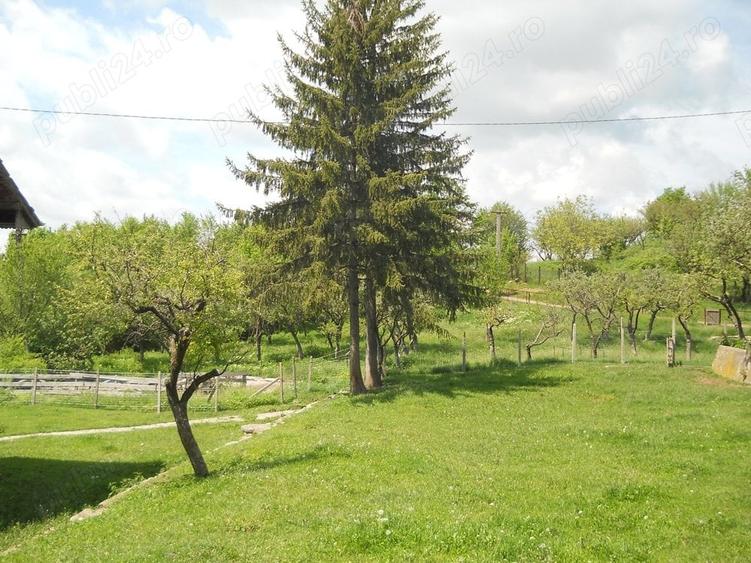 Teren în Toculești