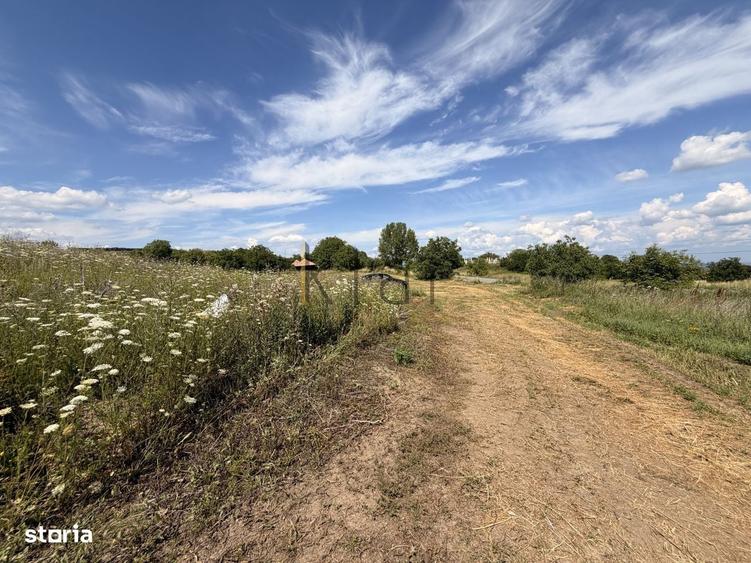 Teren 2900 m2 in Aiton ideal pentru investitie - 3