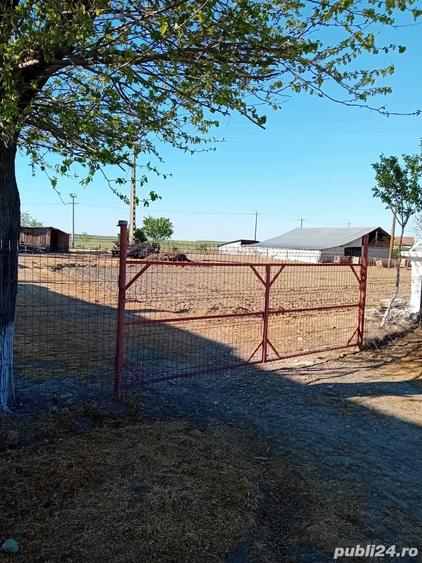 Casă cu 4 camere cu Teren 4200 Mp în Râmnicelu