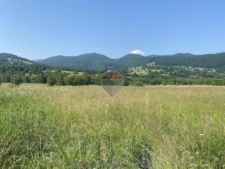 Teren de 4306 mp, în Vama Buzăului