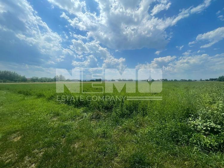 Teren Construcții intravilan de 3770 mp, în Frătăuții Vechi