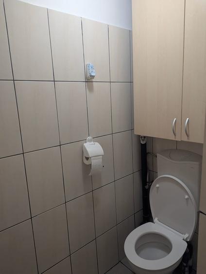 Casă individuală de închiriat – Herăstrău | 4 camere | Curte proprie | Parcare - 18