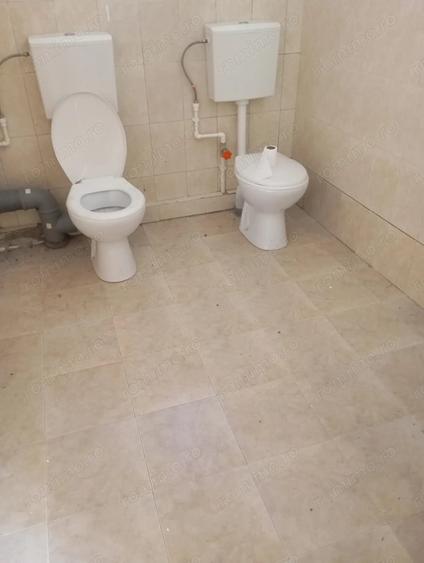 Spațiu comercial, de 400 mp, în Topleț