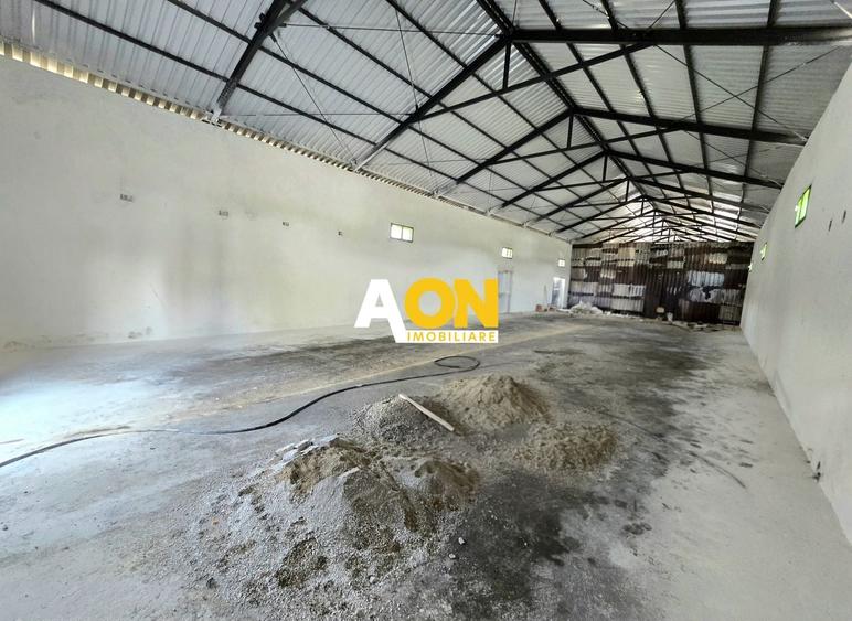 Spațiu industrial, de 280 mp, în Ampoi 1