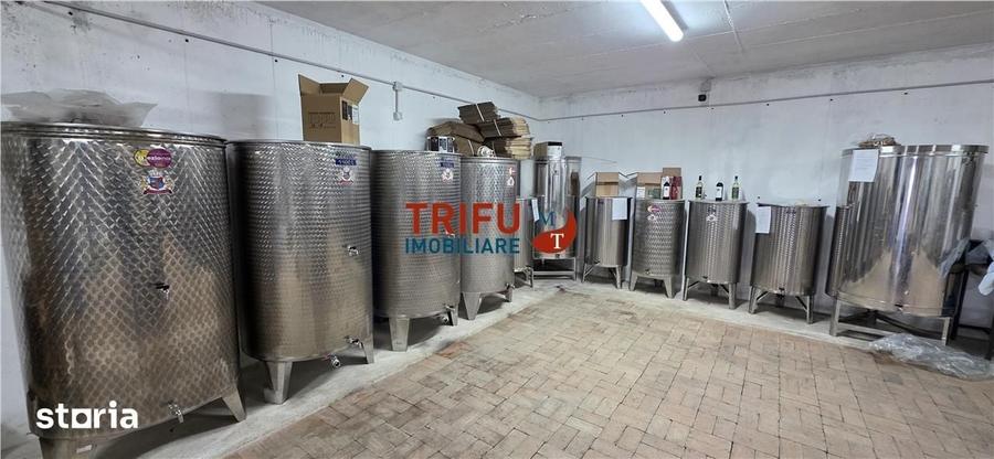 Casă cu 4 camere cu Teren 3000 Mp în Cricău