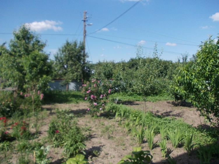 Casă individuală cu 5 camere cu Teren 1500 Mp în Dragalina (Cristinești)