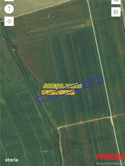 Teren de 3600 mp, în Letea Veche