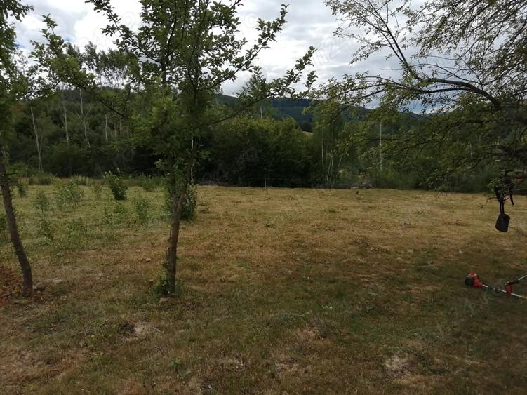 Teren de 20000 mp, în Ciucea