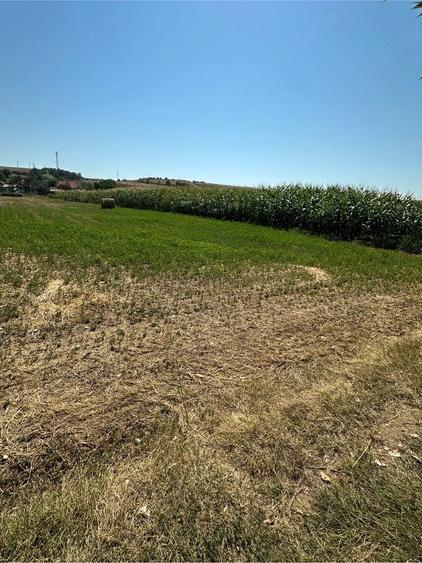 Teren de 1200 mp, în Vințu de Jos