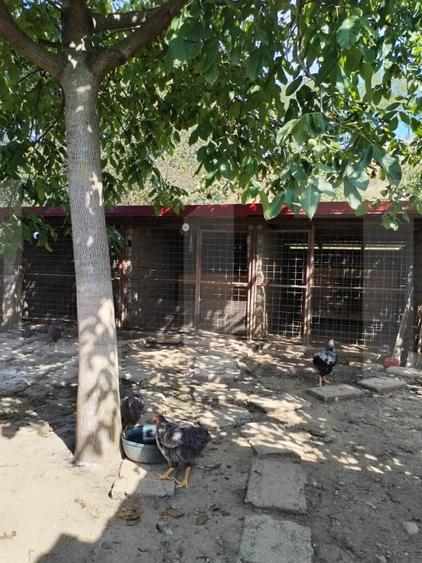 Casă individuală cu 5 camere cu Garaj în Belin
