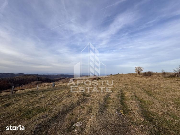 Casă cu 4 camere cu Teren 2231 Mp în Cerbăl