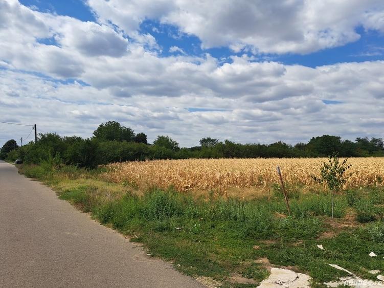 Teren de 5000 mp, în Cojești