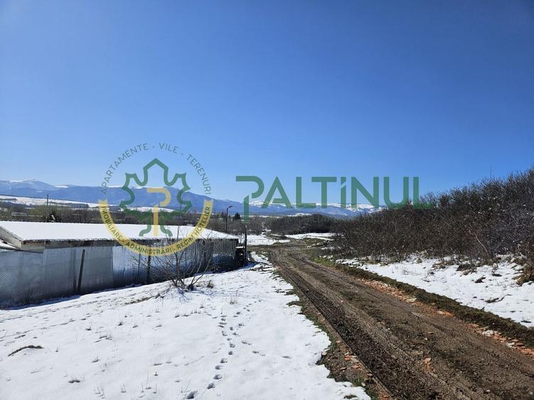 Teren agricol intravilan de 3500 mp, în Exterior Est