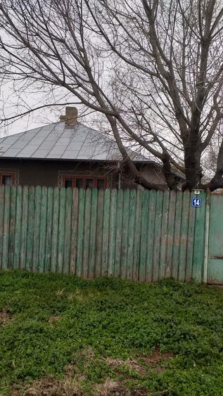 Vand casa, teren si anexe com Unirea, jud. Braila - 4