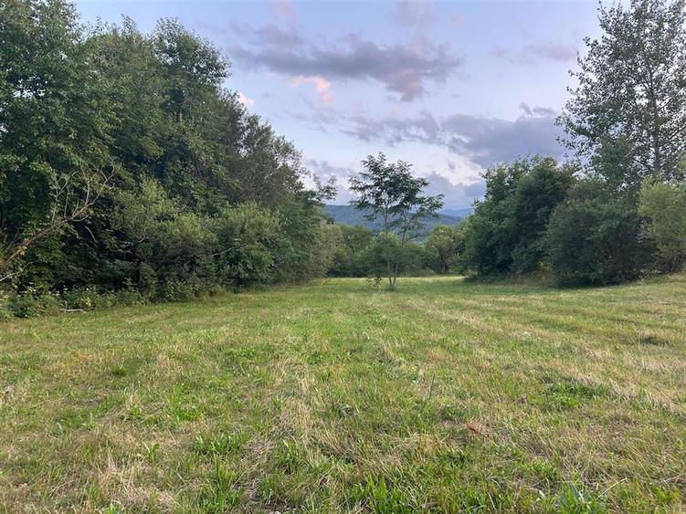 Teren Construcții intravilan de 3200 mp, în Dejani