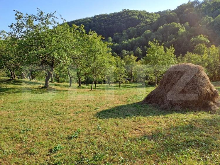 Casă individuală cu 2 camere cu Teren 10000 Mp în Almașu Mare