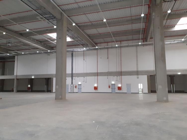 Spațiu industrial, de 2,000 mp, în Dragomirești-Vale