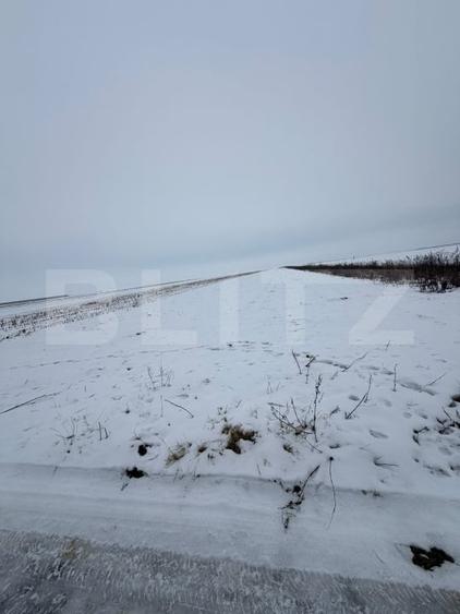 Teren agricol extravilan de 9000 mp, în Tărlungeni