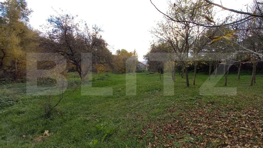 Teren Construcții intravilan de 1651 mp, în Ciurila
