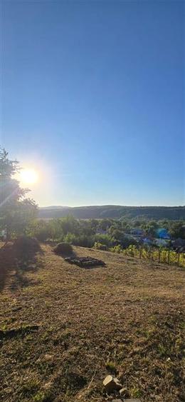 Teren Construcții intravilan de 10537 mp, în Filipești (Bogdănești)