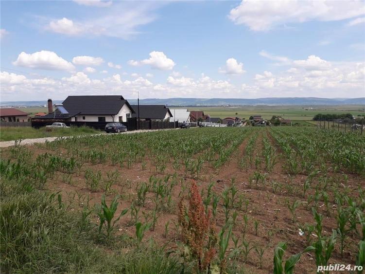 Proprietar, vand teren intravilan,jud. Bacau, com. Sarata, sat Dealu Nou. - 8