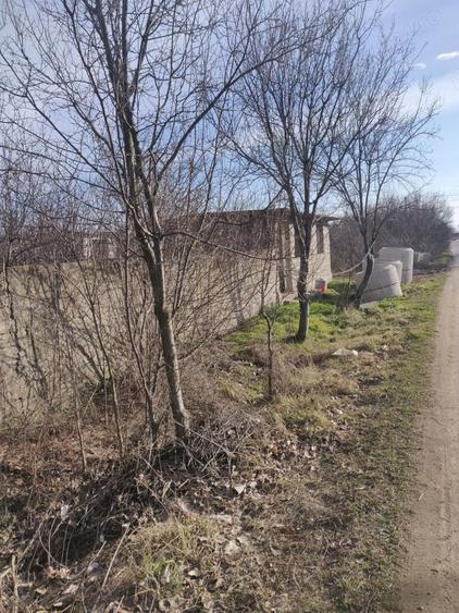 Teren de 5000 mp, în Corbii Mari