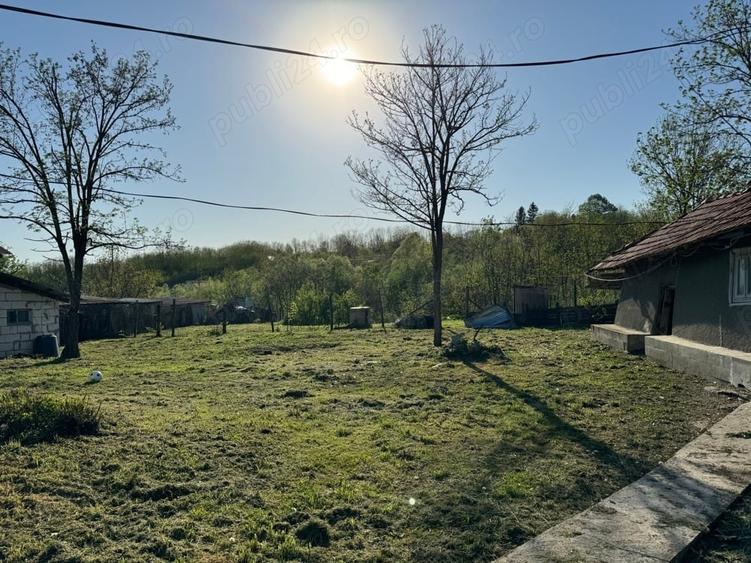 Teren de 1200 mp, în Muntenii de Jos
