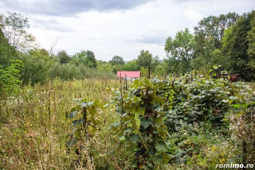 Casă cu 2 camere cu Teren 2149 Mp în Costeni