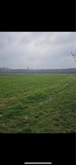 Spațiu comercial, în Dichiseni