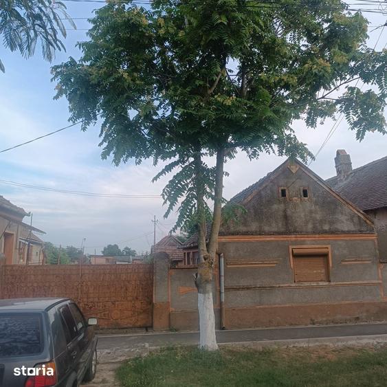 Casă cu 6 camere cu Teren 2254 Mp în Cebza