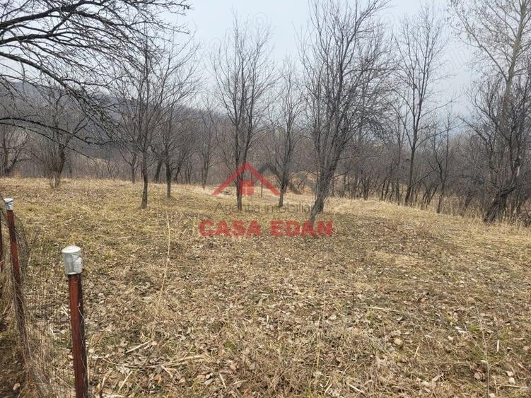 Casă cu Teren 1358 Mp în Gura Beliei